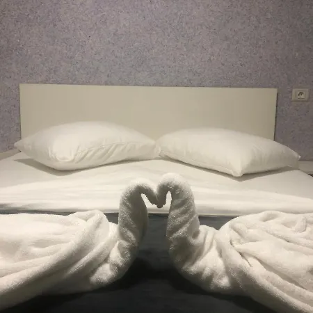 招待所 Ana 康斯坦察